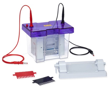 Vertical electrophoresis unit